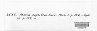 Image of Selenophoma superflua